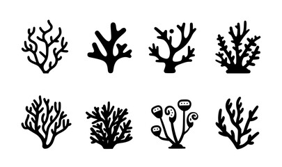 Deep Sea coral graphics