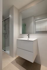 Modern minimalist bathroom with white sink and large mirror featuring glass shower enclosure
