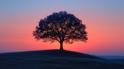 The Serene Silhouette of a Tree