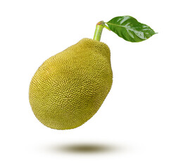 Jackfruit on white