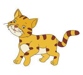 Cute cat isolated on white background