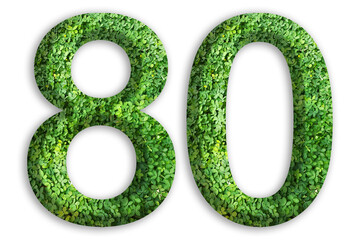 3d of the number of 80 is made from green grass on white background, go green concept