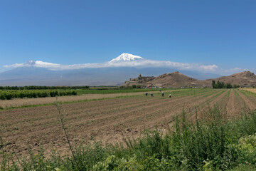 Naklejka premium Armenia - June 25, 2023: People work in the field at the foot of the Khor Virap monastery. Ararat Plain.