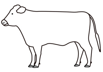 Line art of a cattle without horns seen from the side.