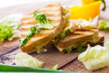 fried toasts with filling, salad leaves, tomatoes