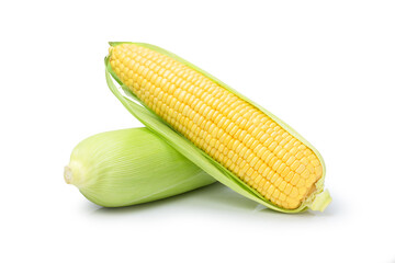 corn on the cob isolated