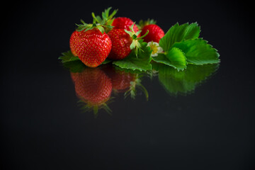 red ripe strawberry spring on a black background