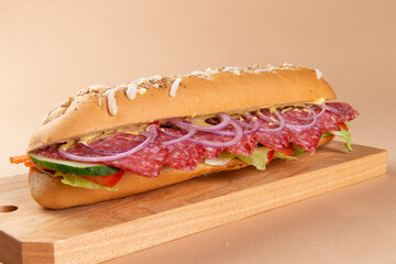 Panini sandwich with dry-cured sausage