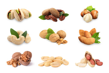 Many different nuts isolated on white, set