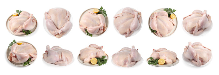 Set of whole raw chicken isolated on white, top and side views