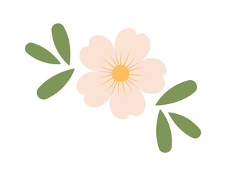 Abstract flower and leaves top view. Spring flora. Flat vector illustration on white background
