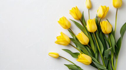 Obraz premium A bouquet of blossom Yellow tulip flowers isolated on white background, summer time illustration.