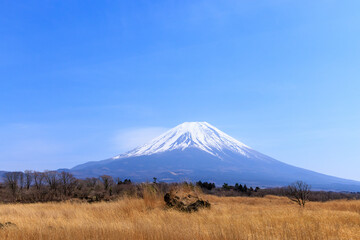 Obraz premium 早春の朝霧高原からの富士山の雄大な景色