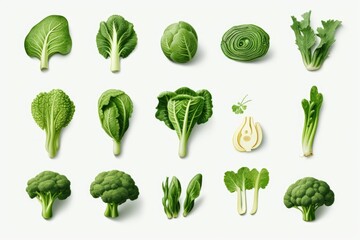 A collection of various green vegetables, including broccoli, cabbage, and lettuce. Concept of abundance and freshness, as the vegetables are displayed in a variety of shapes and sizes