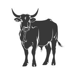 Naklejka premium Silhouette bull animal black color only