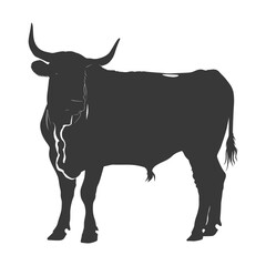 Silhouette bull animal black color only