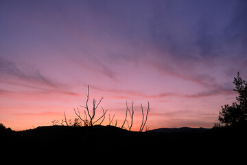 Fototapeta premium Beautiful sunset with pink and purple sky, silhouetted trees and mountain horizon creating a serene scene.