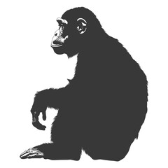 Obraz premium Silhouette Chimpanzee animal black color only
