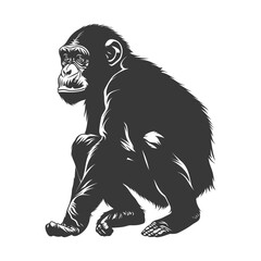 Obraz premium Silhouette Chimpanzee animal black color only