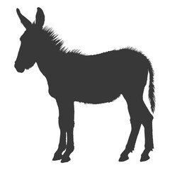 Silhouette donkey animal black color only