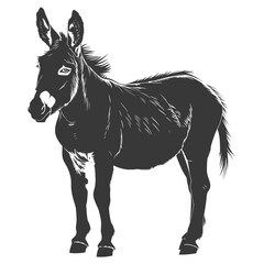 Fototapeta premium Silhouette donkey animal black color only