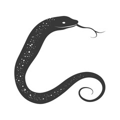 Silhouette eel animal black color only