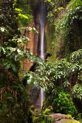 Waterfall Salto do Rosal Furnas on the Isle of São Miguel, Azores, Portugal. Long exposure. Waterfall with  tropical green vegetation and forests. Travel destination. Hiking on Azores Islands.