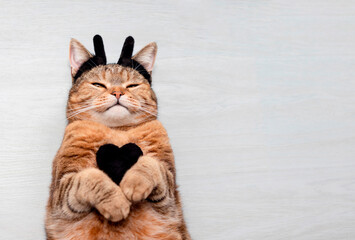 Red cat with a black heart for Halloween.