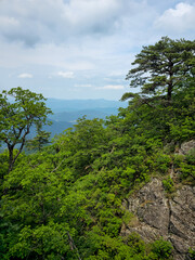 Obraz premium A mountain range is visible in the distance, with a lush green forest below. The sky is cloudy, but the trees are still green and vibrant. Concept of tranquility and natural beauty