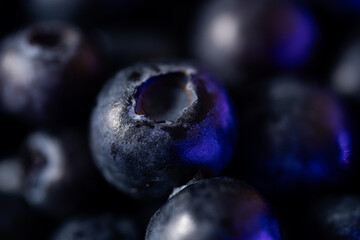 Macro close-up fresh blueberries with soft blue complementary light