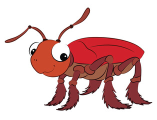 Cockroach isolated on white background