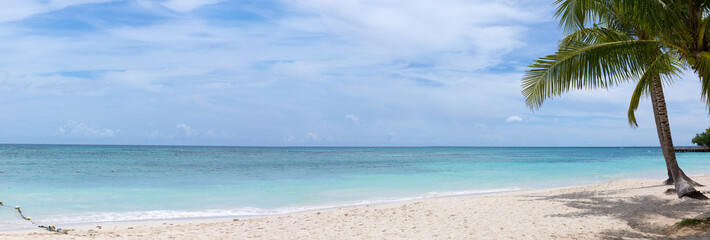 Panorama of caribbean tropical beach with palm trees, white sand and turquoise blue water.