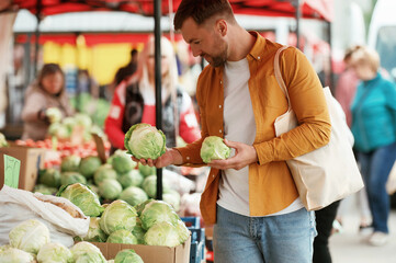 Fototapeta premium Choosing cabbage. Handsome man is on the street market or bazaar
