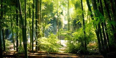 beautiful bamboo garden where spring nature merges with the structure of bamboo . Generative AI