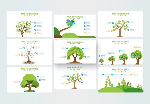 Tree Infographic Design Layout Template