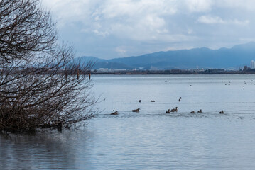 冬の琵琶湖の風景　