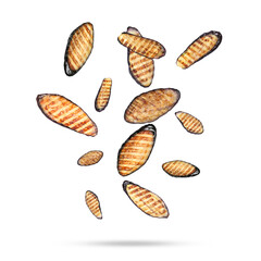 Slices of grilled eggplants in air on white background
