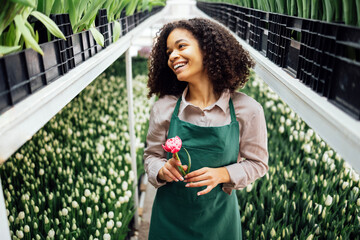 Young cute mixed race girl in green apron holding peony tulip on background of plantations with...