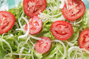 Close-up of tomat saladClose-up of salad ofred tomatoes with green lettuce