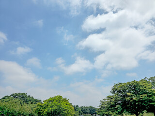 Fototapeta premium A clear blue sky with a few clouds and trees in the background. The sky is calm and peaceful, with the trees providing a sense of serenity