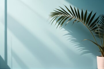Soft shadows of palm leaves on a light blue wall, creating a minimalistic look.
