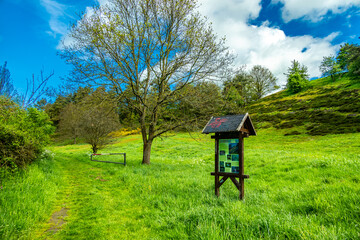 Sommerliche Wanderung durch die Kurstadt an der Werra bei Bad Salzungen und ihrer einzigartigen...