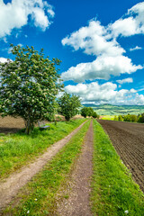 Sommerliche Wanderung durch die Kurstadt an der Werra bei Bad Salzungen und ihrer einzigartigen Landschaft - Thüringen - Deutschland