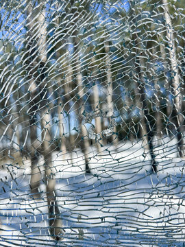 Forest through cracked broken glass