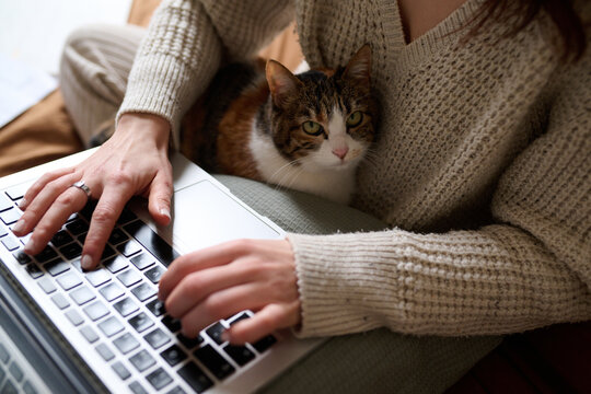Woman typing with Cat