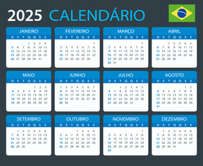 2025 Calendar Brazil - vector template graphic illustration - Brazilian version