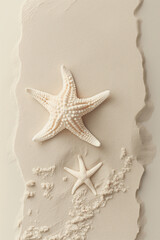 there are two starfishs on a white surface with sand