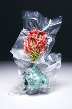 Natural and artificial items vacuum packed