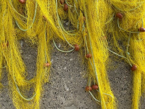 Yellow fishing net for catching the fish on the concrete.