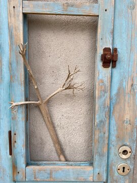 Some random branch without foliage in an old blue door.